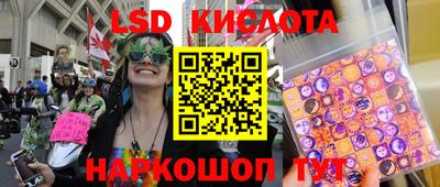 ГАЛЛЮЦИНОГЕННЫЕ ГРИБЫ Кандалакша