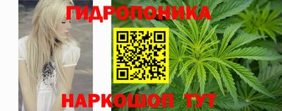 ГАЛЛЮЦИНОГЕННЫЕ ГРИБЫ Кандалакша