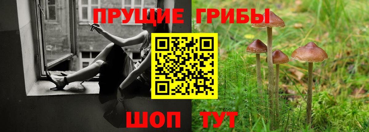 где купить наркотик  Псилоцибиновые грибы Psilocybine cubensis  Вход с VPN  Курчатов 
